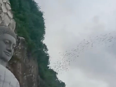 Watch millions of bats enter the night sky and begin their foraging to eat up countless mosquitos. Eat local food and enjoy a relaxing trip to the country around Battambang. 